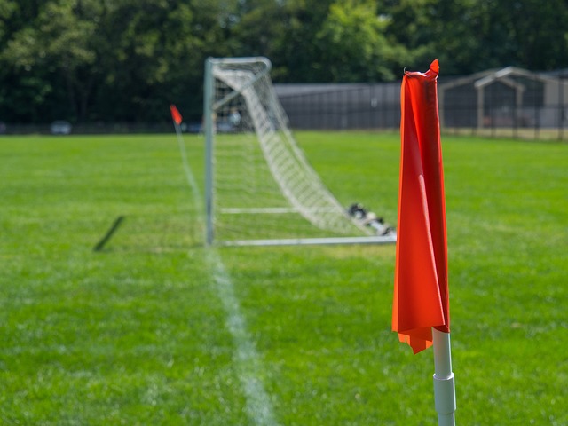 特别是哈兰 特别是哈兰