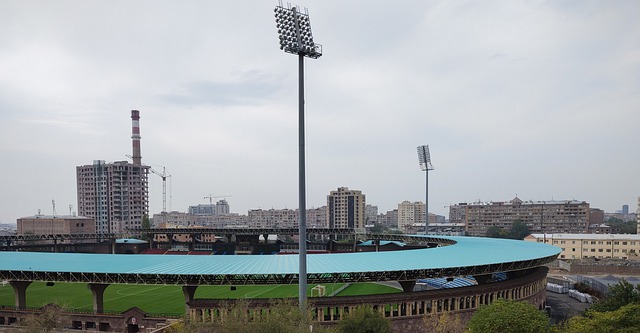 伦纳德的存 伦纳德的存