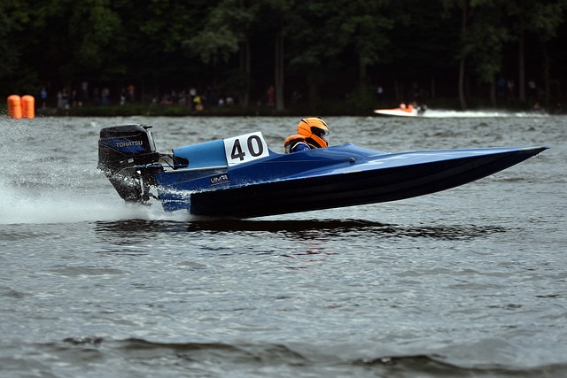 球迷和投注 球迷和投注