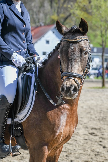 成为全球关 成为全球关