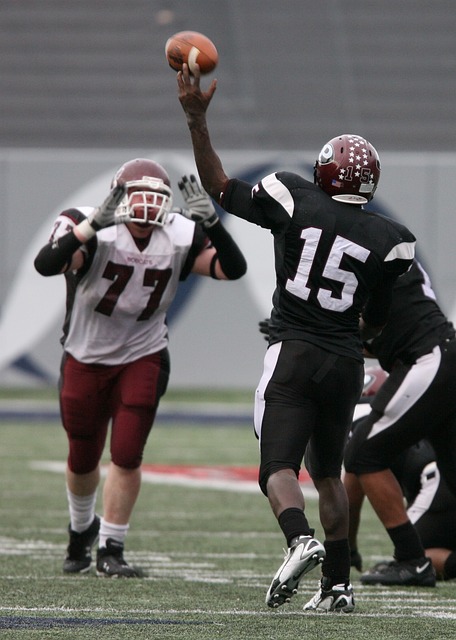 线上提供了 线上提供了