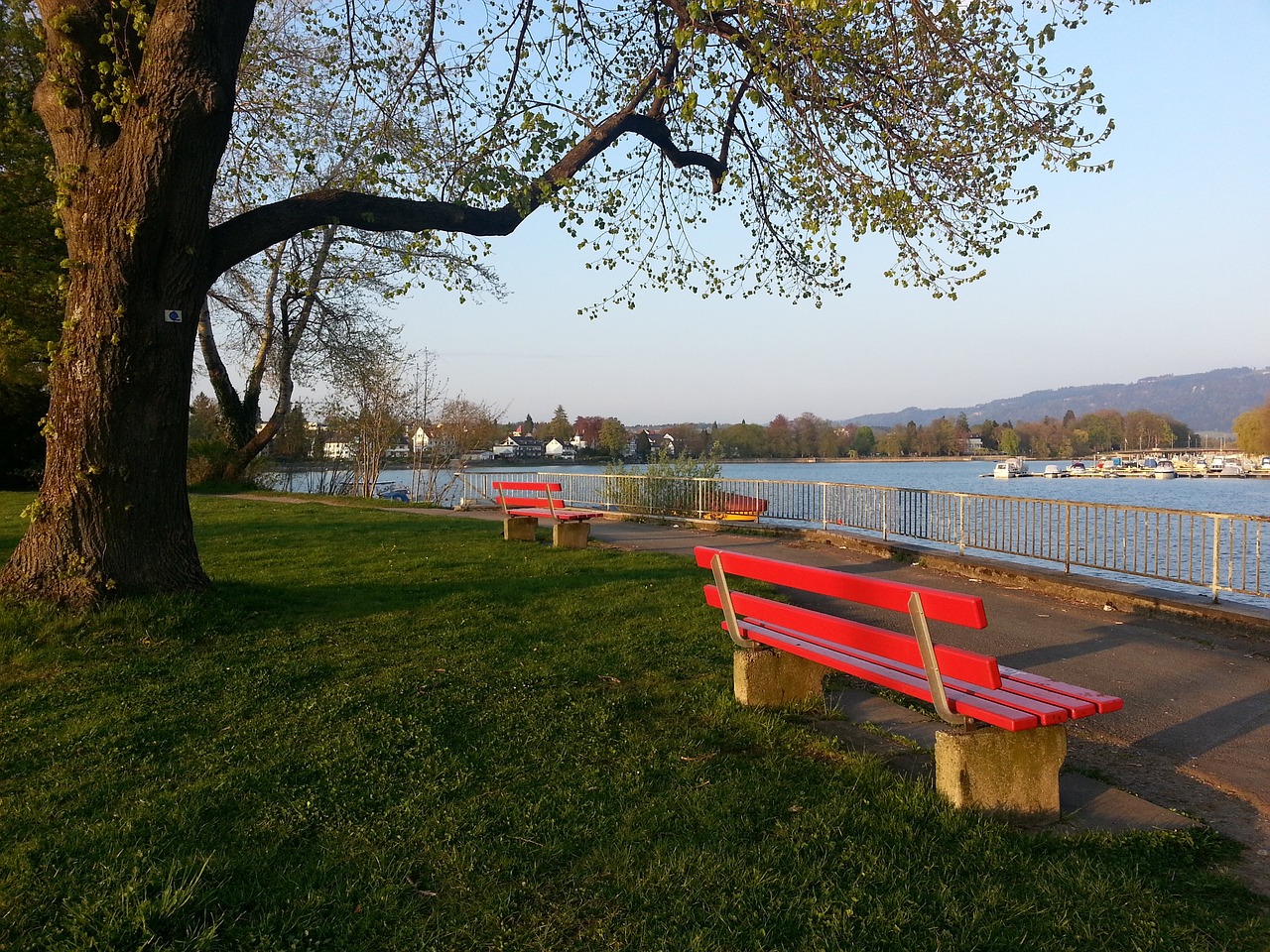 网球在国际 网球在国际