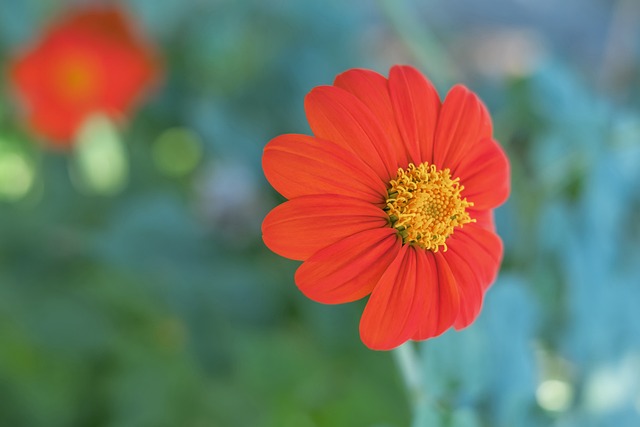 清理违法信 清理违法信