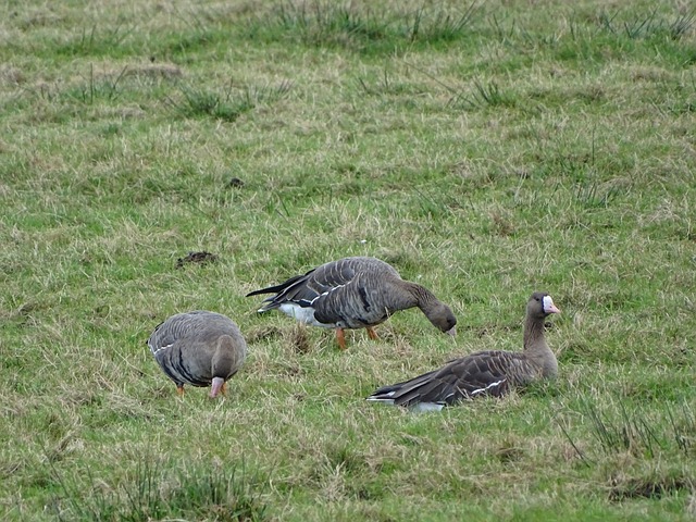 了一层安全 了一层安全
