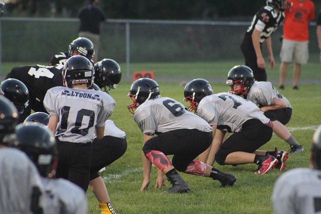 了学生的精 了学生的精