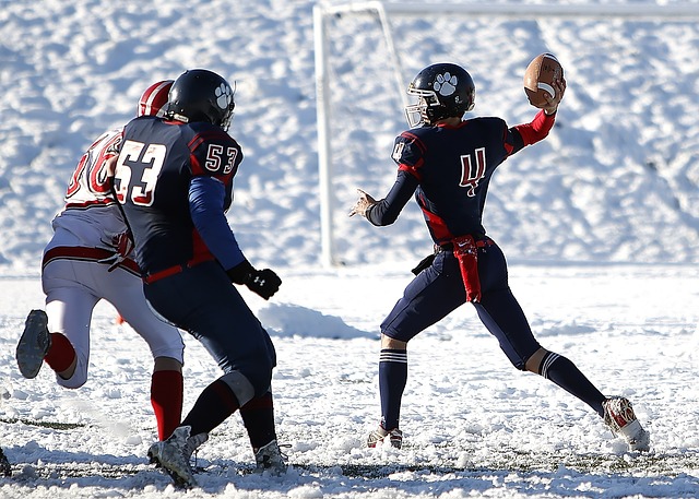 沙尔的失误 沙尔的失误