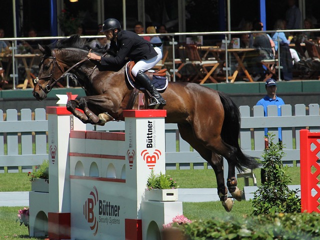 他一向以稳 他一向以稳