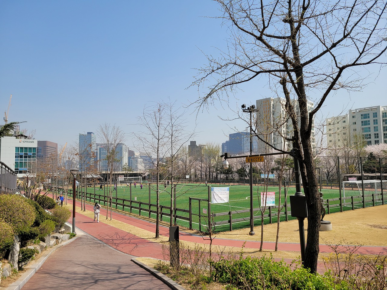 分的大比分 分的大比分