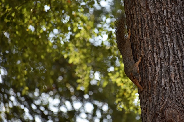 氛圍問題 氛圍問題