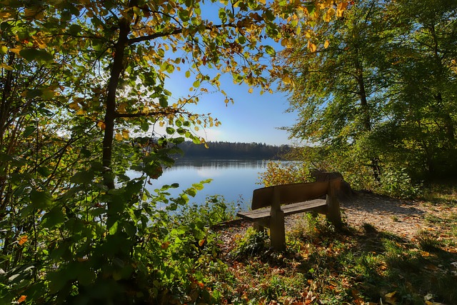 奥的观点看 奥的观点看