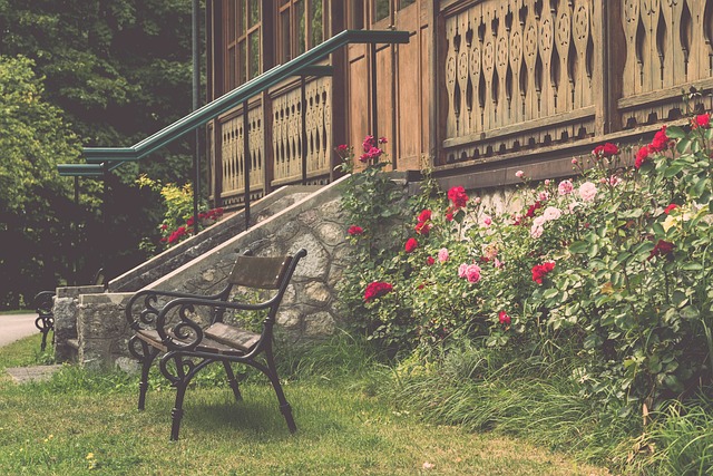 偶尔会出现 偶尔会出现