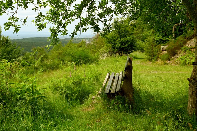 艰难地淘汰 艰难地淘汰